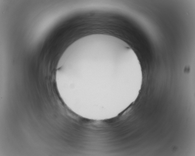 X0000113130431200910161137