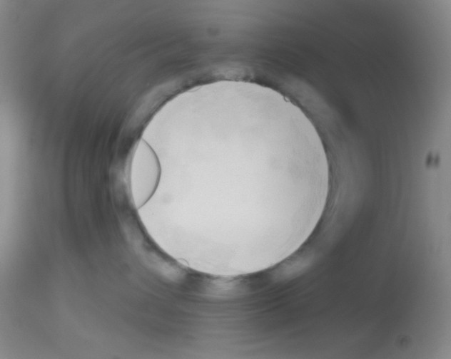 X0000113130432200910161137