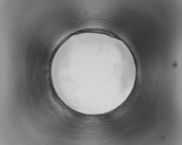 X0000113130434200910161136