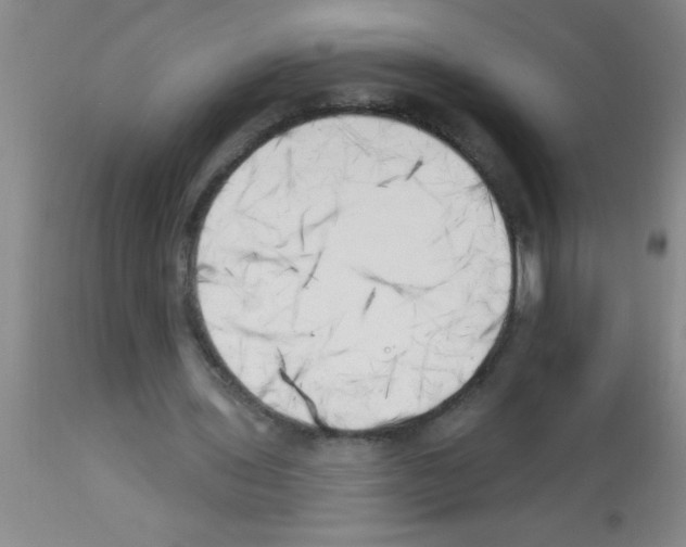X0000113130435200910161136