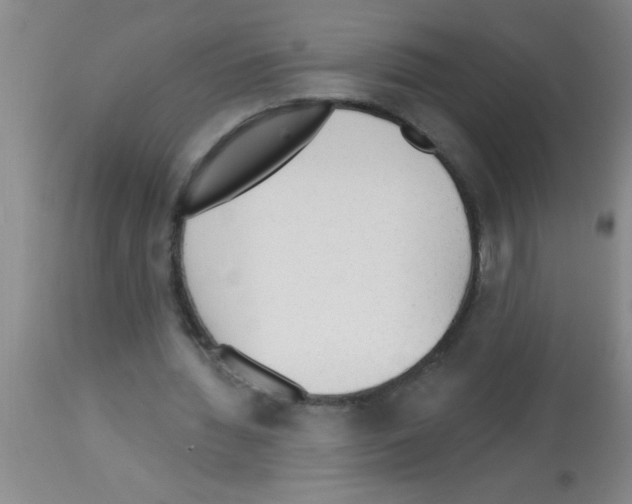 X0000113130436200910161136