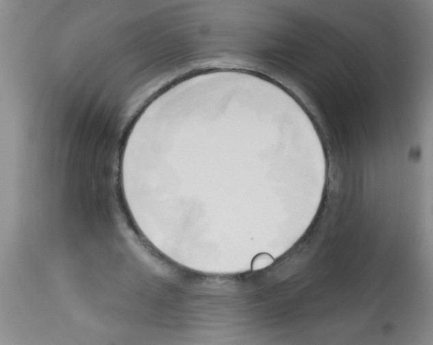 X0000113130437200910161136