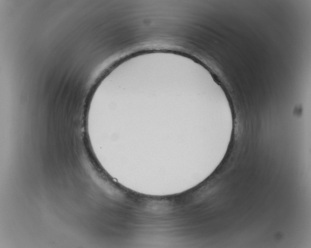 X0000113130438200910161136