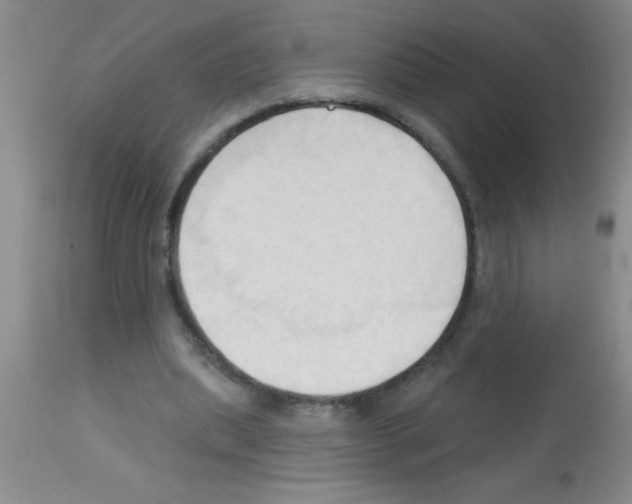 X0000113130439200910161136