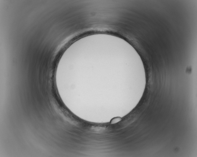 X0000113130440200910161136