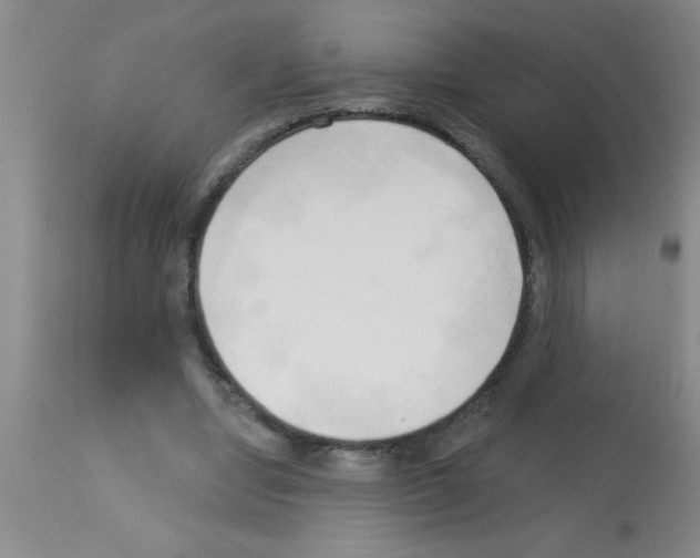 X0000113130442200910161136
