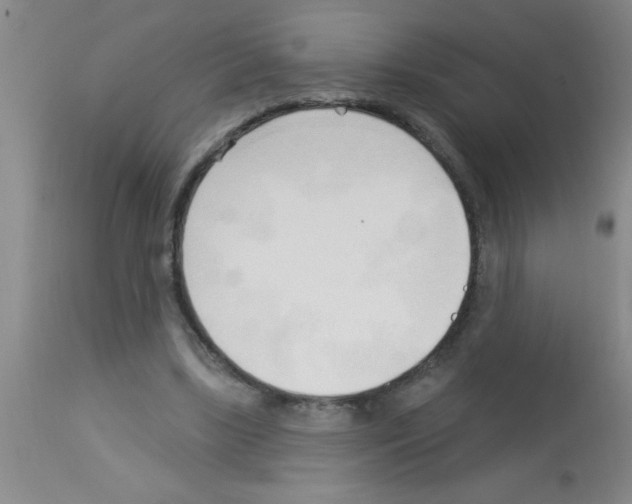 X0000113130443200910161136