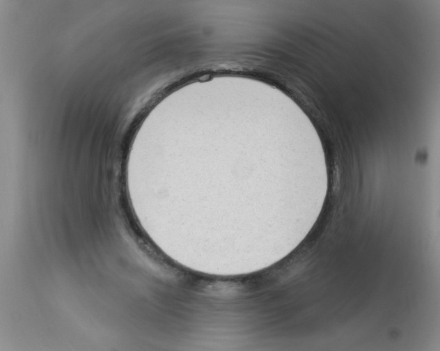 X0000113130444200910161136