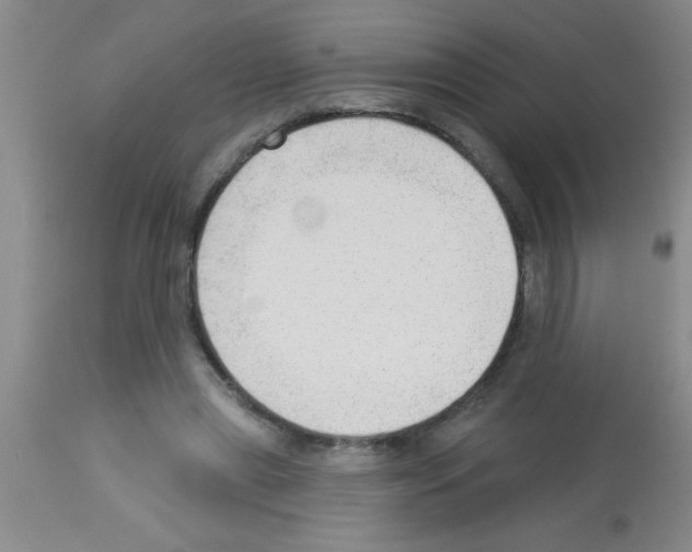 X0000113130445200910161136