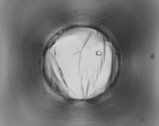 X0000113130446200910161136
