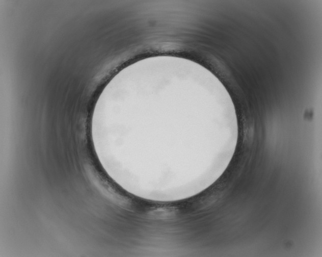 X0000113130447200910161136