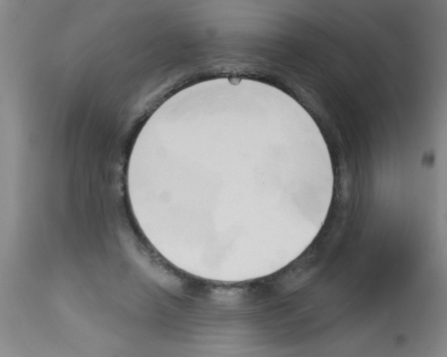 X0000113130450200910161136
