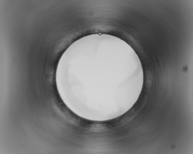 X0000113130451200910161136