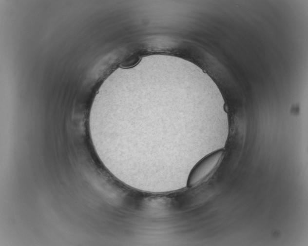 X0000113130452200910161136