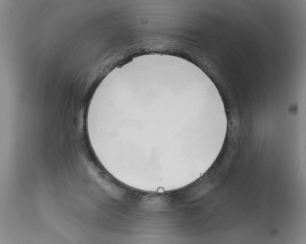X0000113130454200910161136
