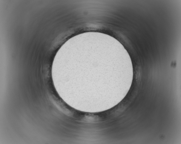 X0000113130455200910161136