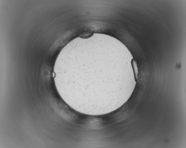 X0000113130456200910161136
