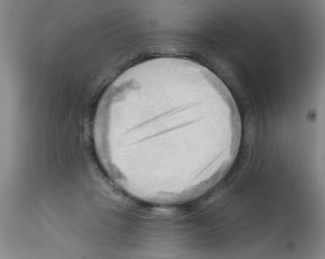 X0000113130457200910161136
