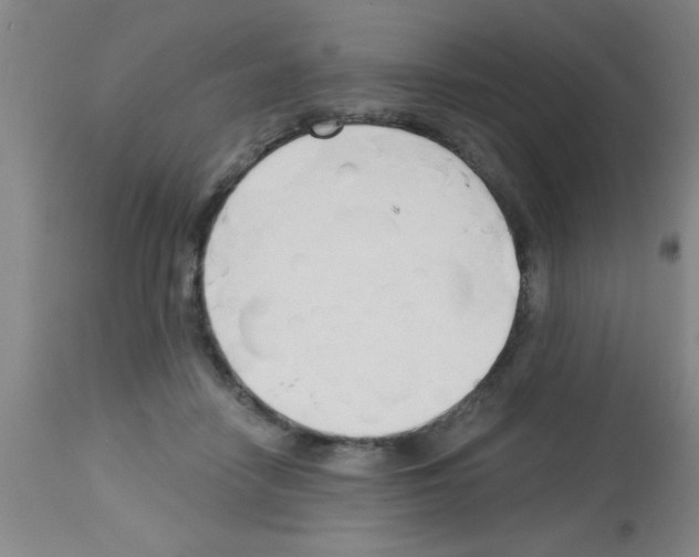 X0000113130458200910161136