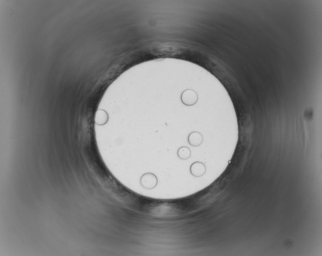 X0000113130460200910161136