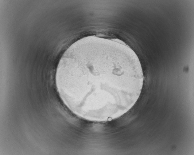 X0000113130462200910161136