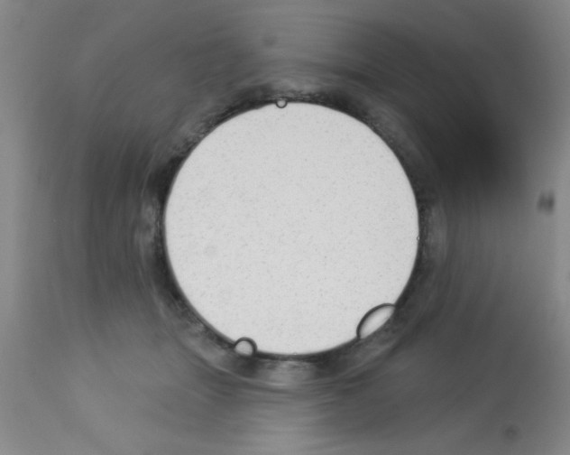 X0000113130463200910161136