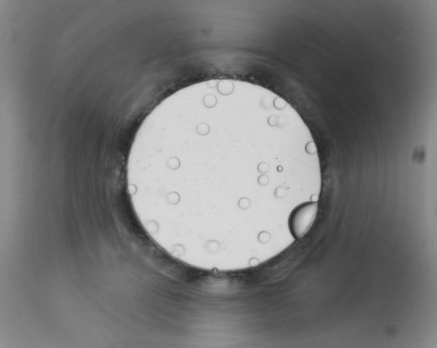 X0000113130464200910161136