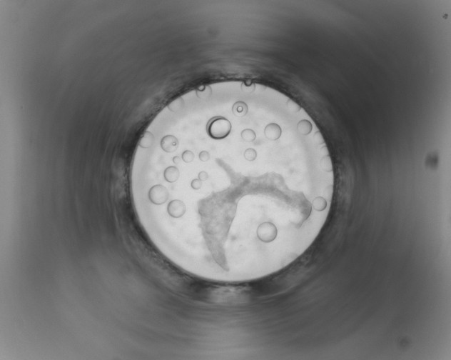 X0000113130465200910161136