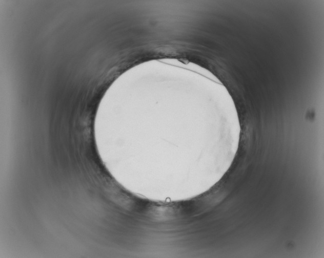 X0000113130466200910161136