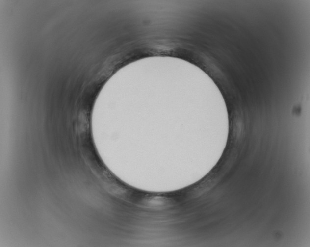 X0000113130467200910161136