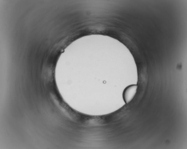 X0000113130468200910161136