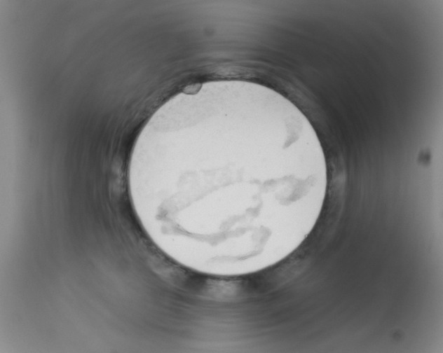 X0000113130469200910161136