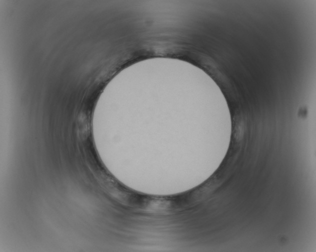 X0000113130471200910161137