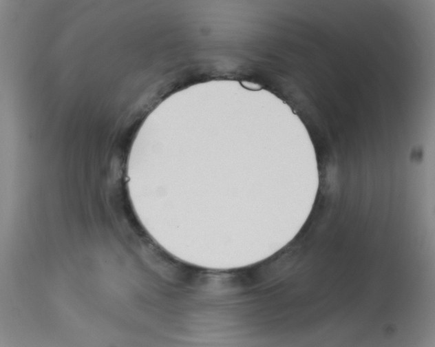 X0000113130472200910161137