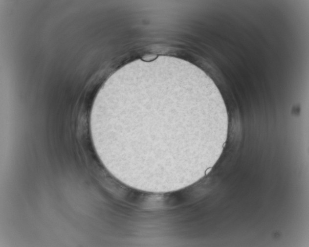 X0000113130473200910161137