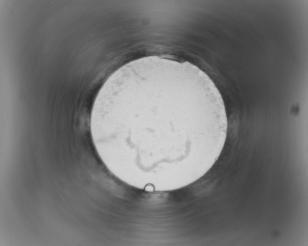X0000113130474200910161137
