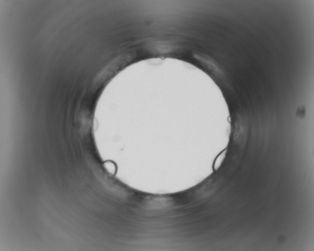 X0000113130476200910161137