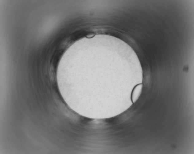 X0000113130477200910161137