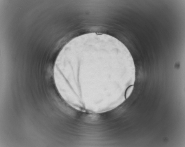 X0000113130478200910161137