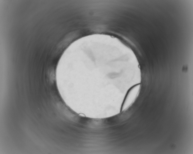 X0000113130479200910161137