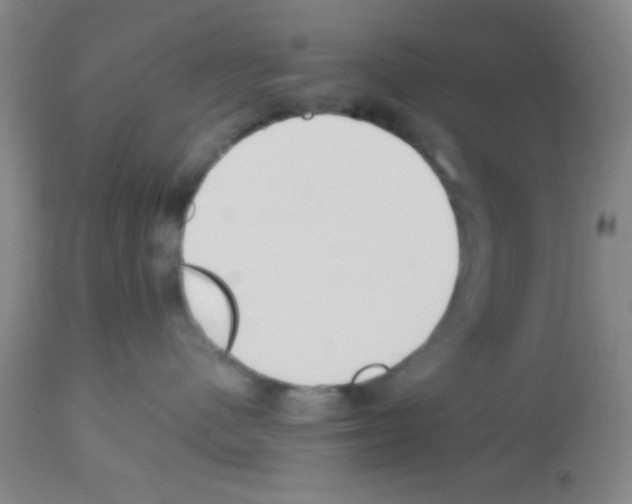 X0000113130480200910161137