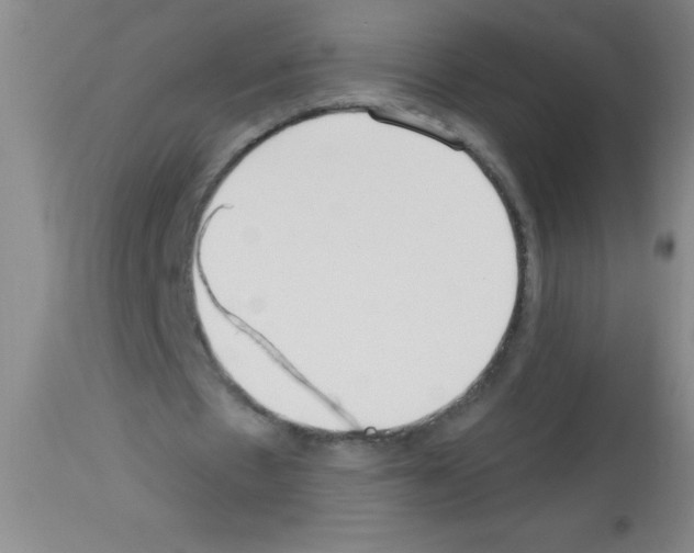 X0000113130481200910161136