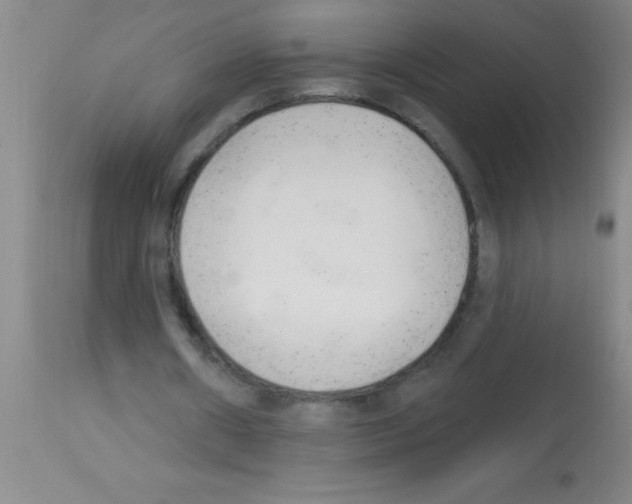 X0000113130482200910161136
