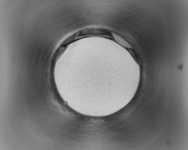 X0000113130484200910161136