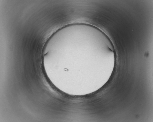 X0000113130485200910161136