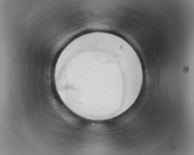 X0000113130487200910161136