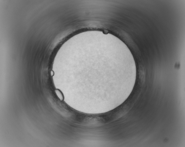 X0000113130488200910161136
