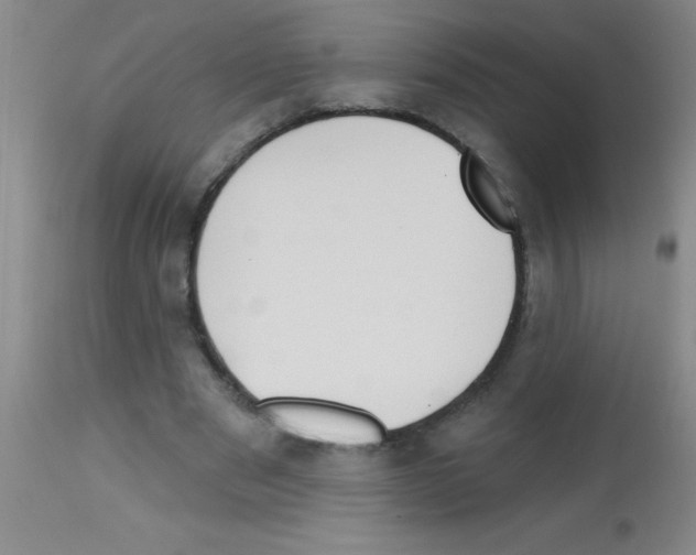 X0000113130489200910161136
