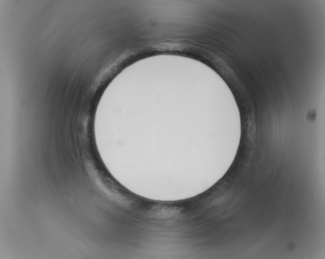 X0000113130491200910161136