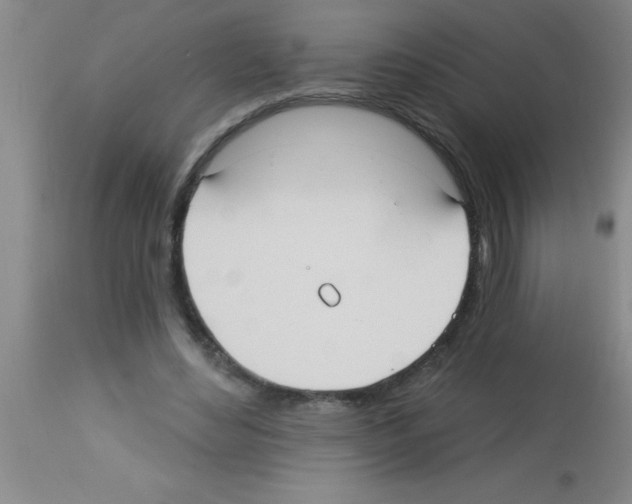 X0000113130492200910161136